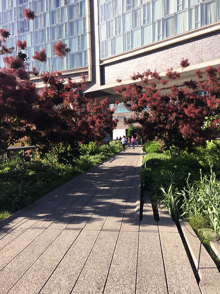 High Line Park