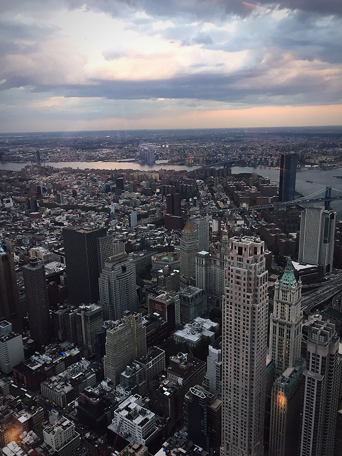View from the Observatory on the 100th floor.